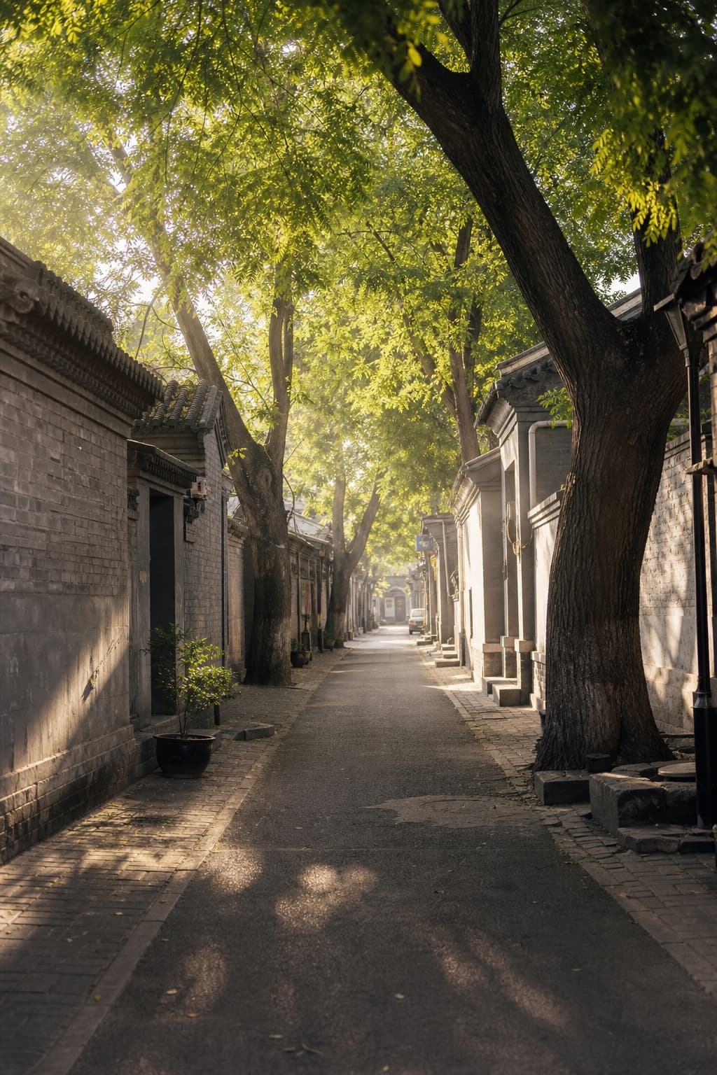 Morning light inside a lived-in Beijing hutong
