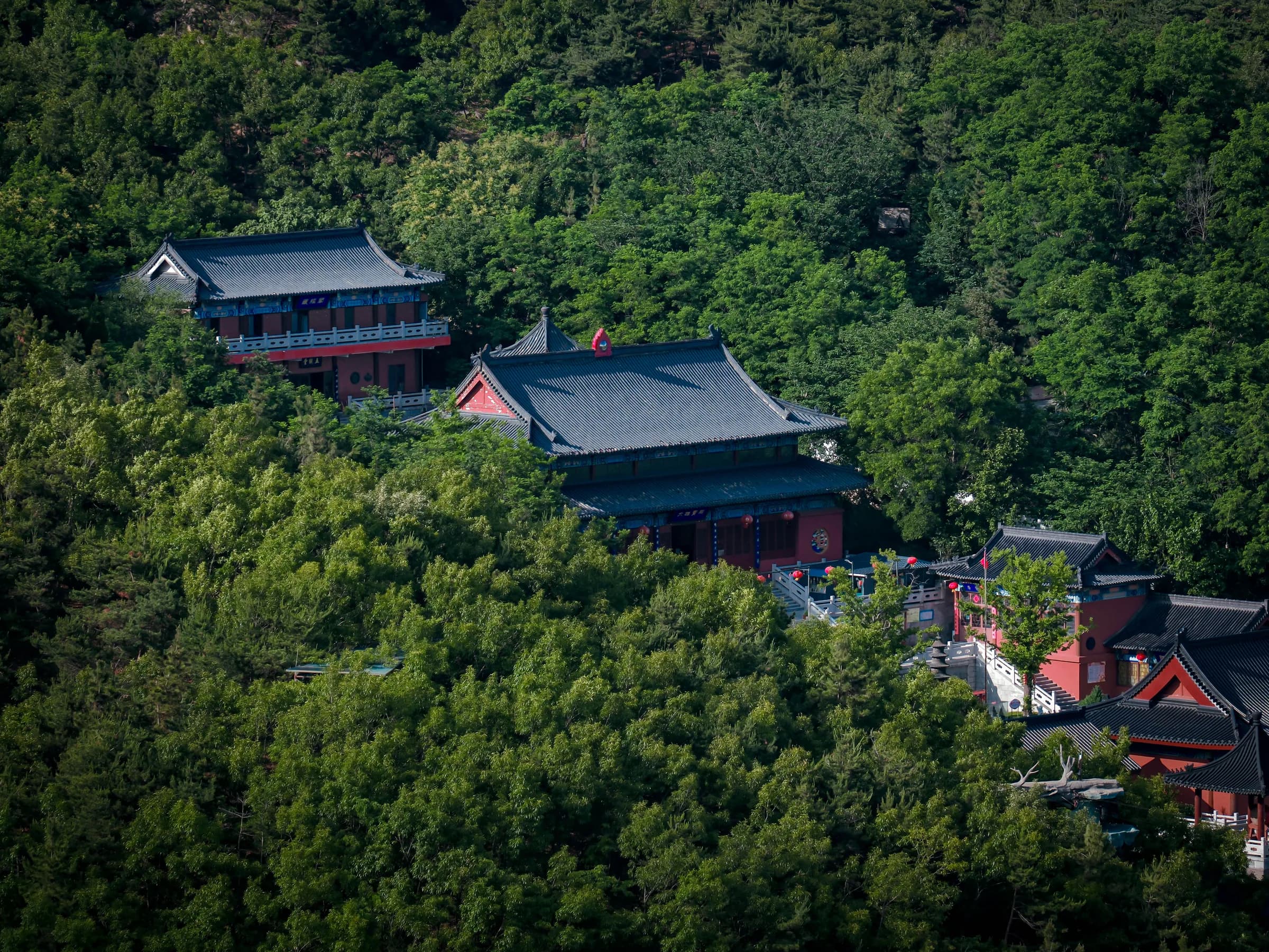 A traditional Wudang temple complex surrounded by forested mountains