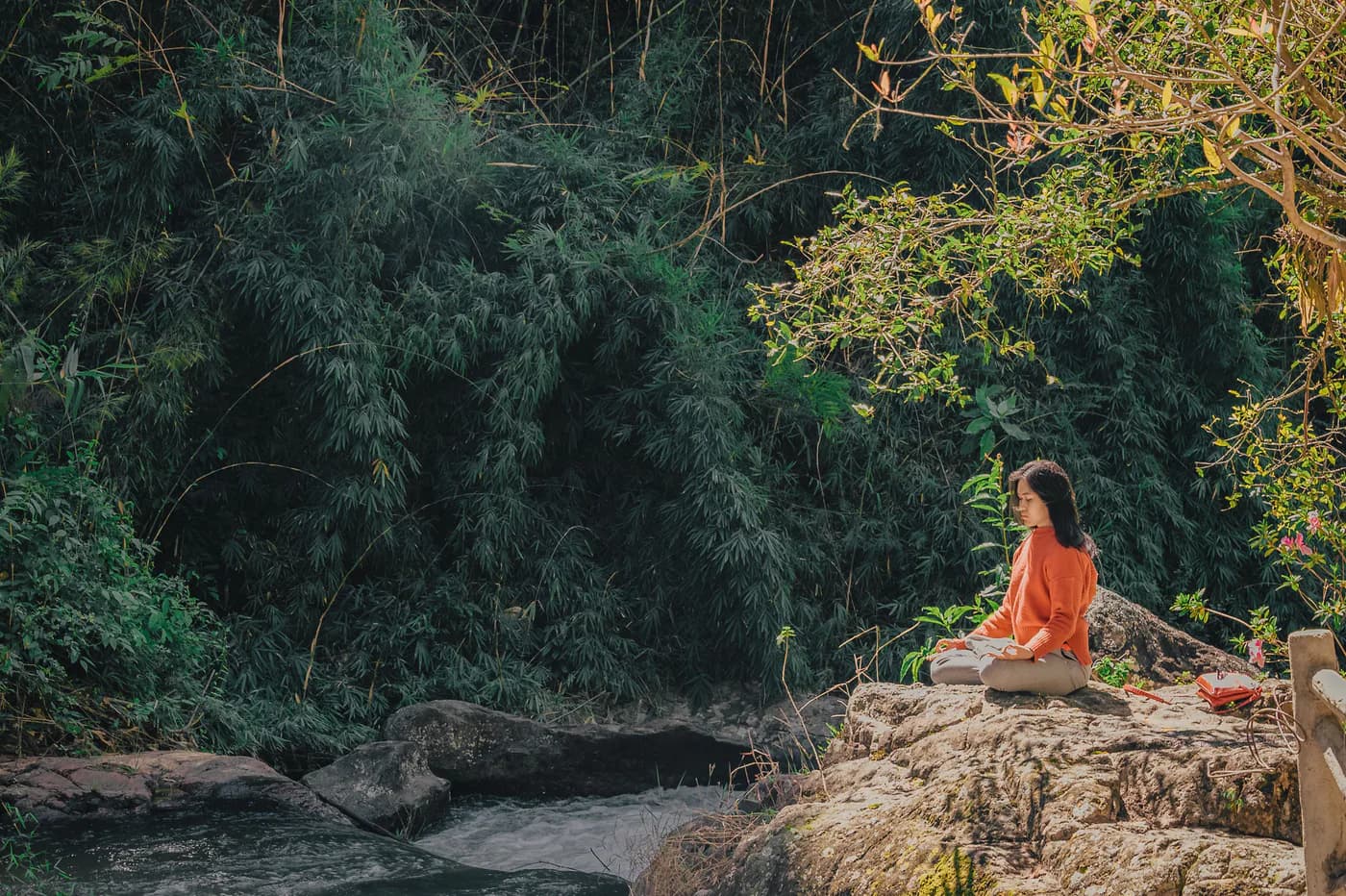 A person sitting quietly beside bamboo and flowing water