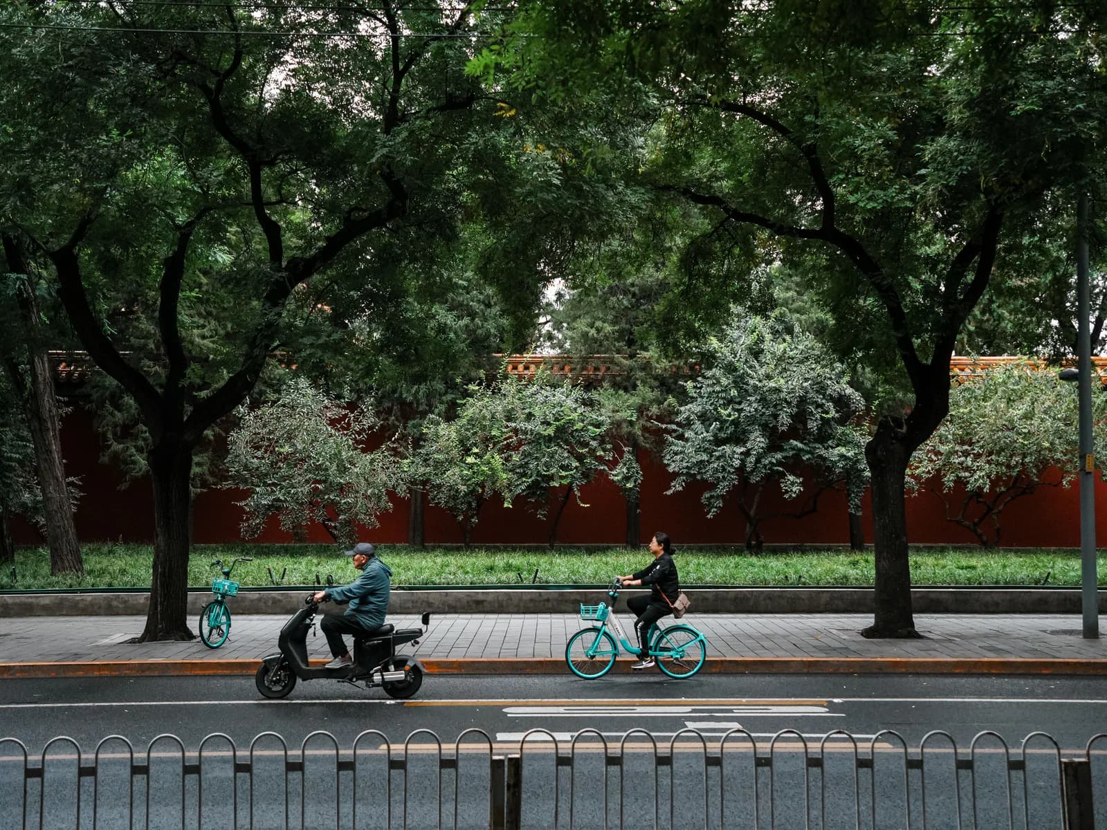 Cyclists passing a red wall beneath mature trees in Beijing
