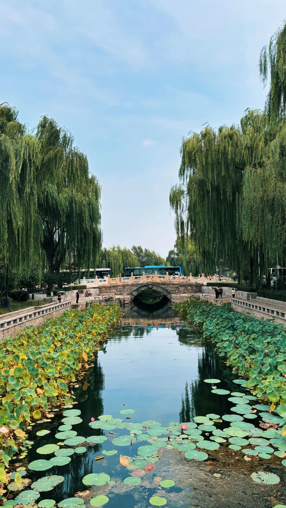 A lotus pond and stone bridge in a quiet Beijing garden