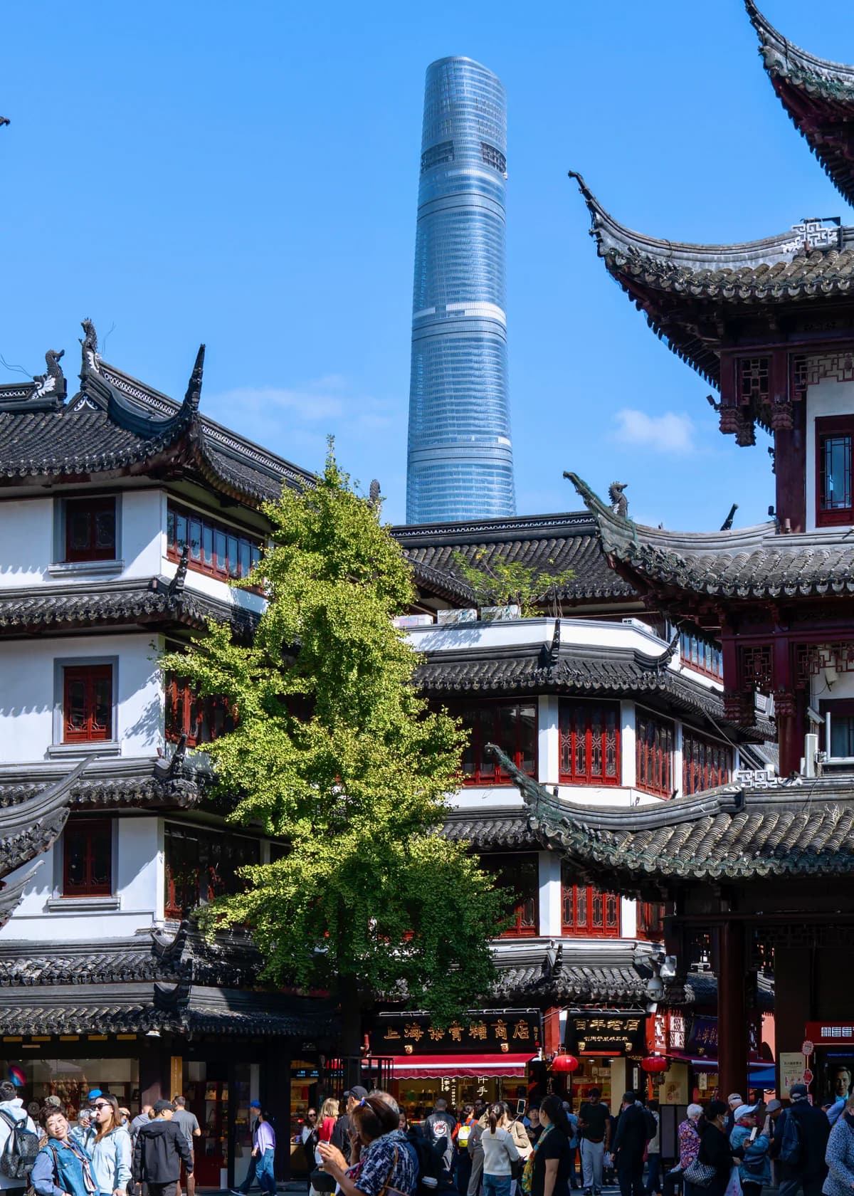 Traditional Shanghai roofs framed against a contemporary tower